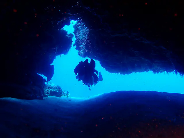 Underwater photograph by Joel Bergsma