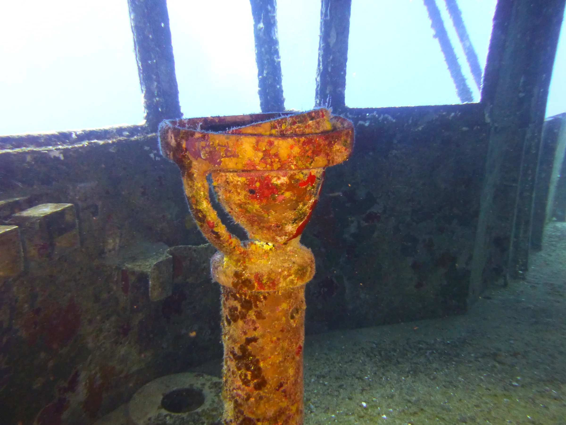 Cayman Islands underwater photograph, 2014