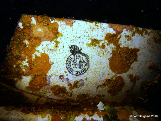 Underwater photograph by Joel Bergsma