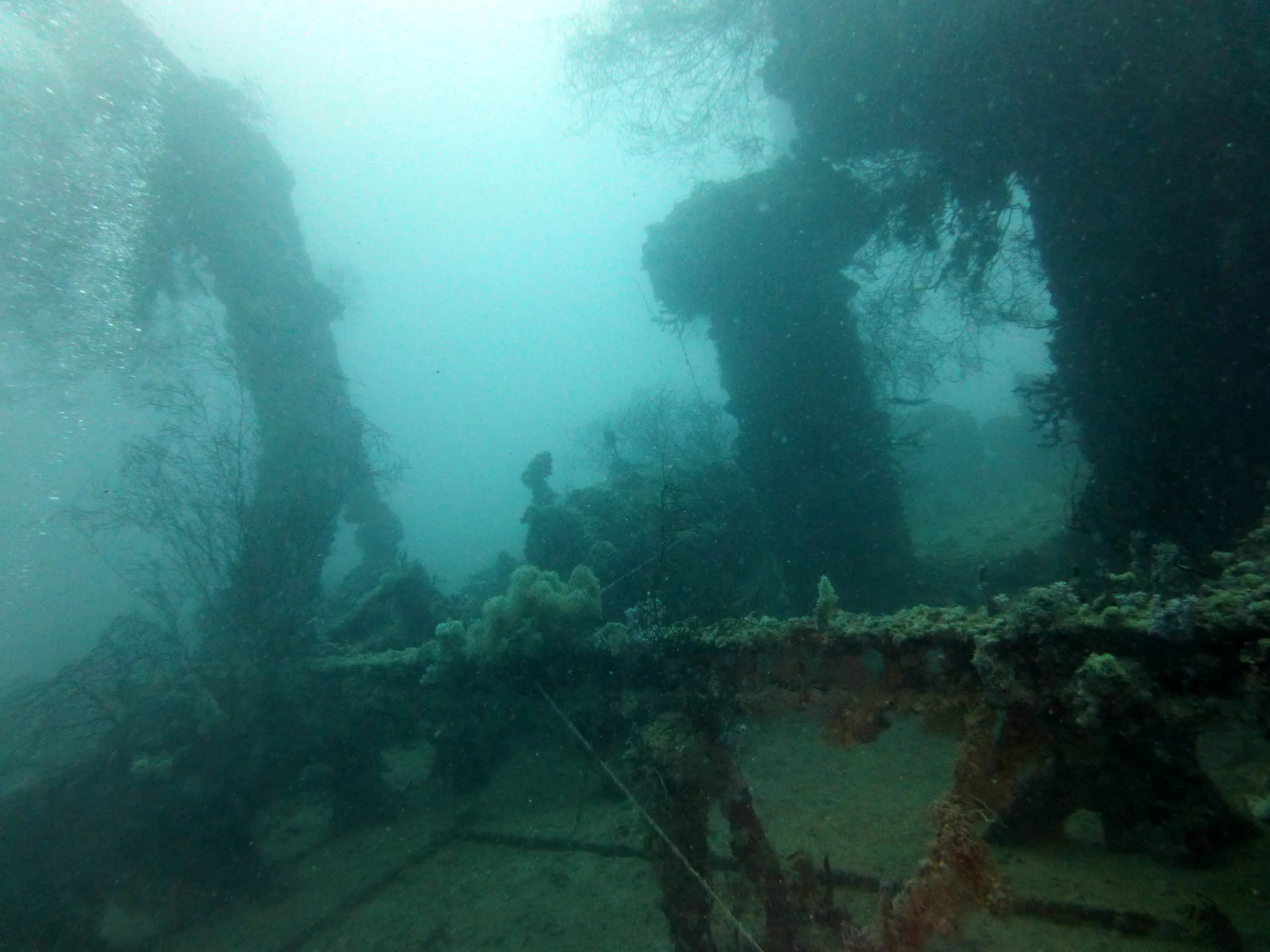 Palau underwater photograph, 2013