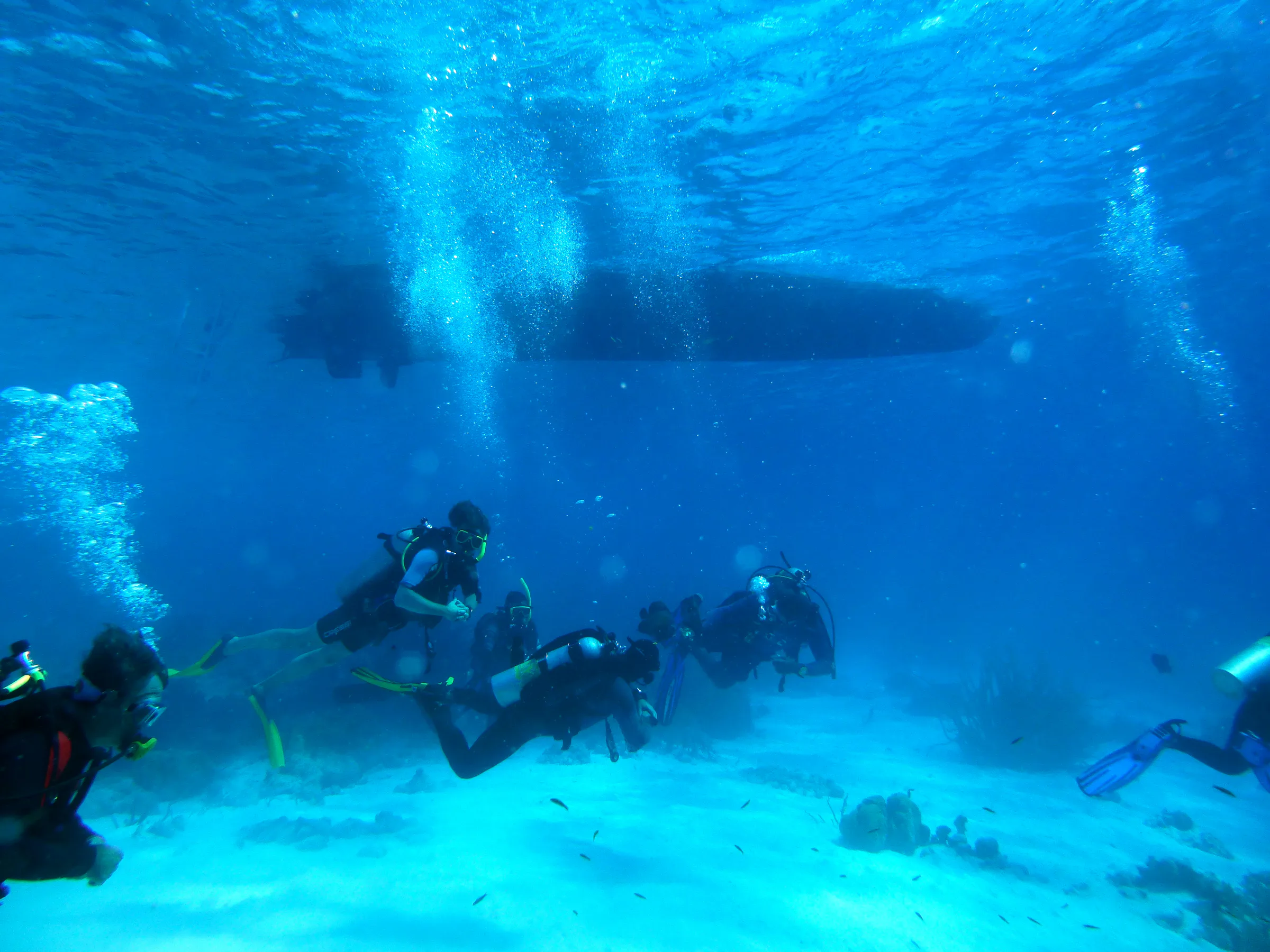 Bonaire underwater photograph, 2013