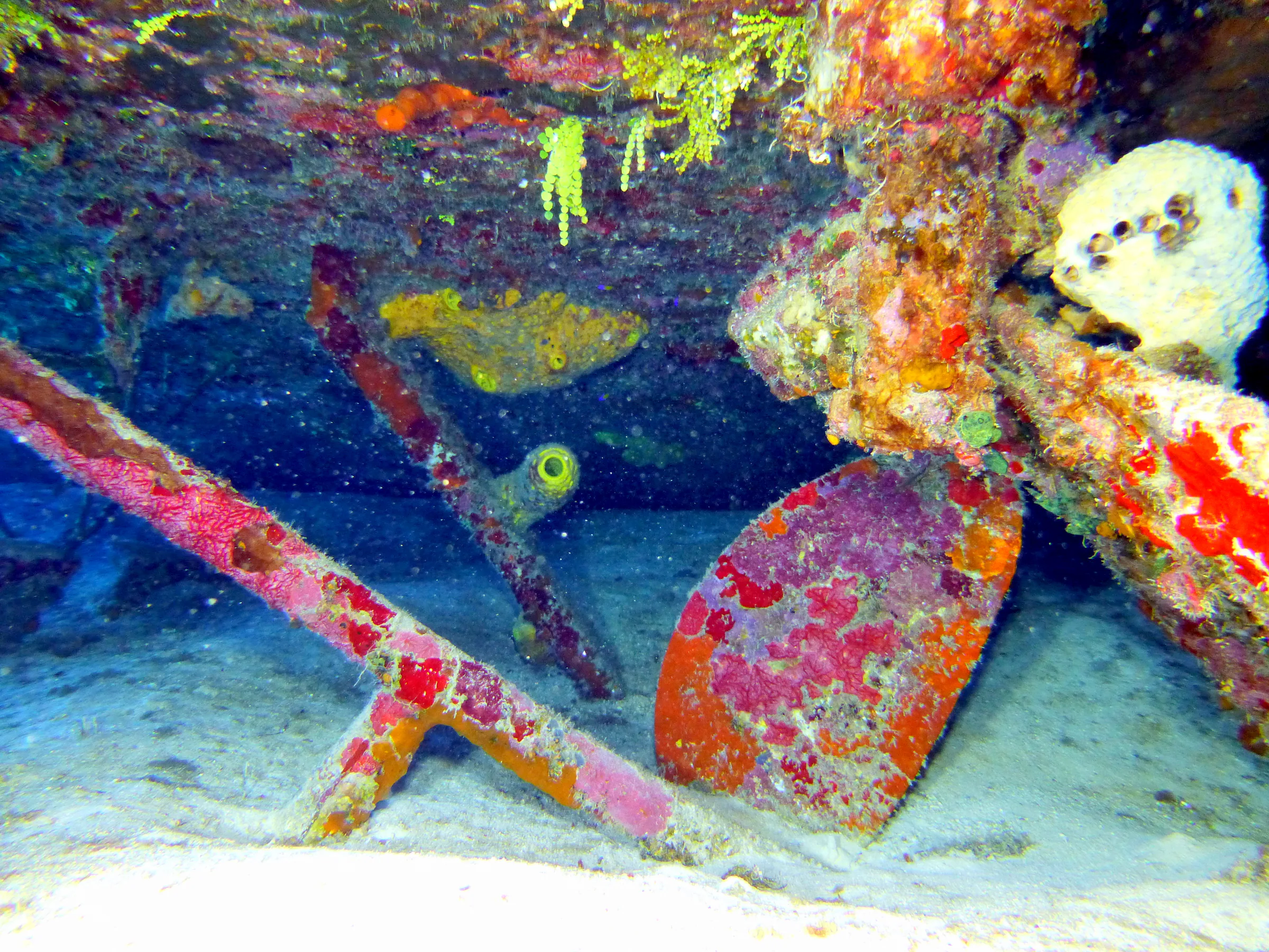 Cayman Islands underwater photograph, 2014