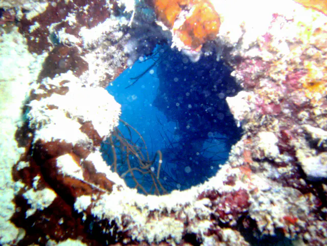Looking out of a porthole aboard the ship.