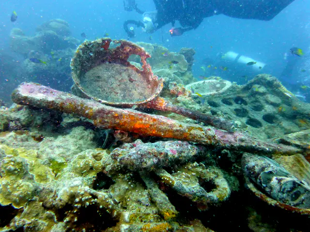 Underwater photograph by Joel Bergsma