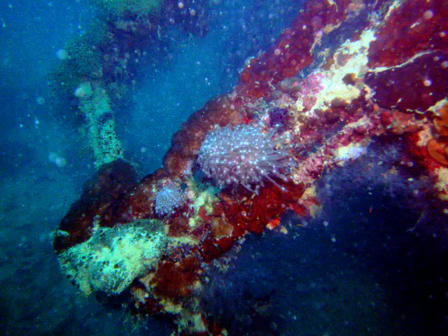 Wreckage of the  WWII Wreck Nagisan Maru.