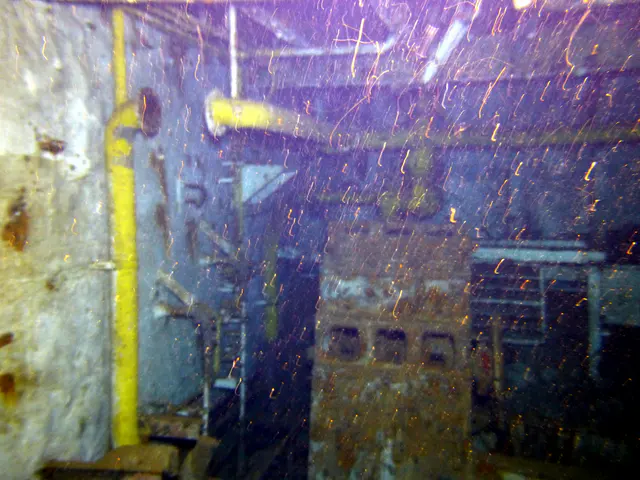 Underwater photograph by Joel Bergsma