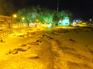 This is the second of three large sandy beaches in Puerto Baquerizo Moreno, San Cristobal Island, that fill with sea lions each evening.