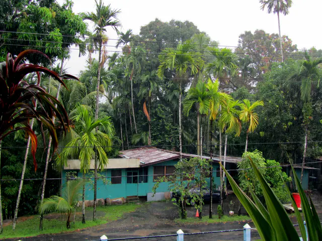 Looking at the tin roofed house located across the balcony from my room at the Guest Lodge Motel, Koror, Palau.  Rainstorm in the morning of 2011-01-23.