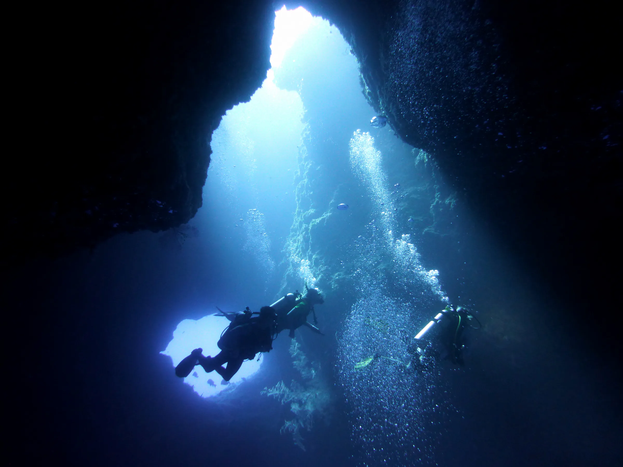 Palau underwater photograph, 2013
