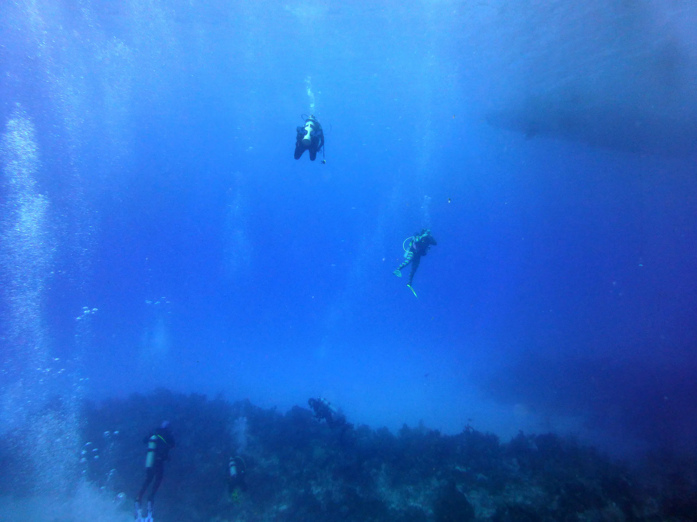 Cayman Islands underwater photograph, 2014