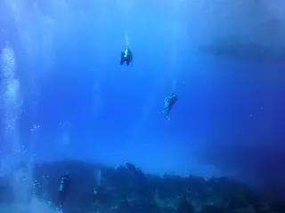 Underwater photograph by Joel Bergsma