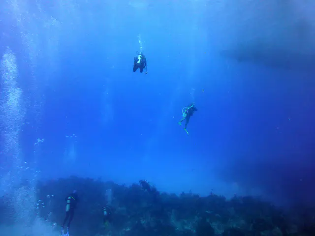 Underwater photograph by Joel Bergsma