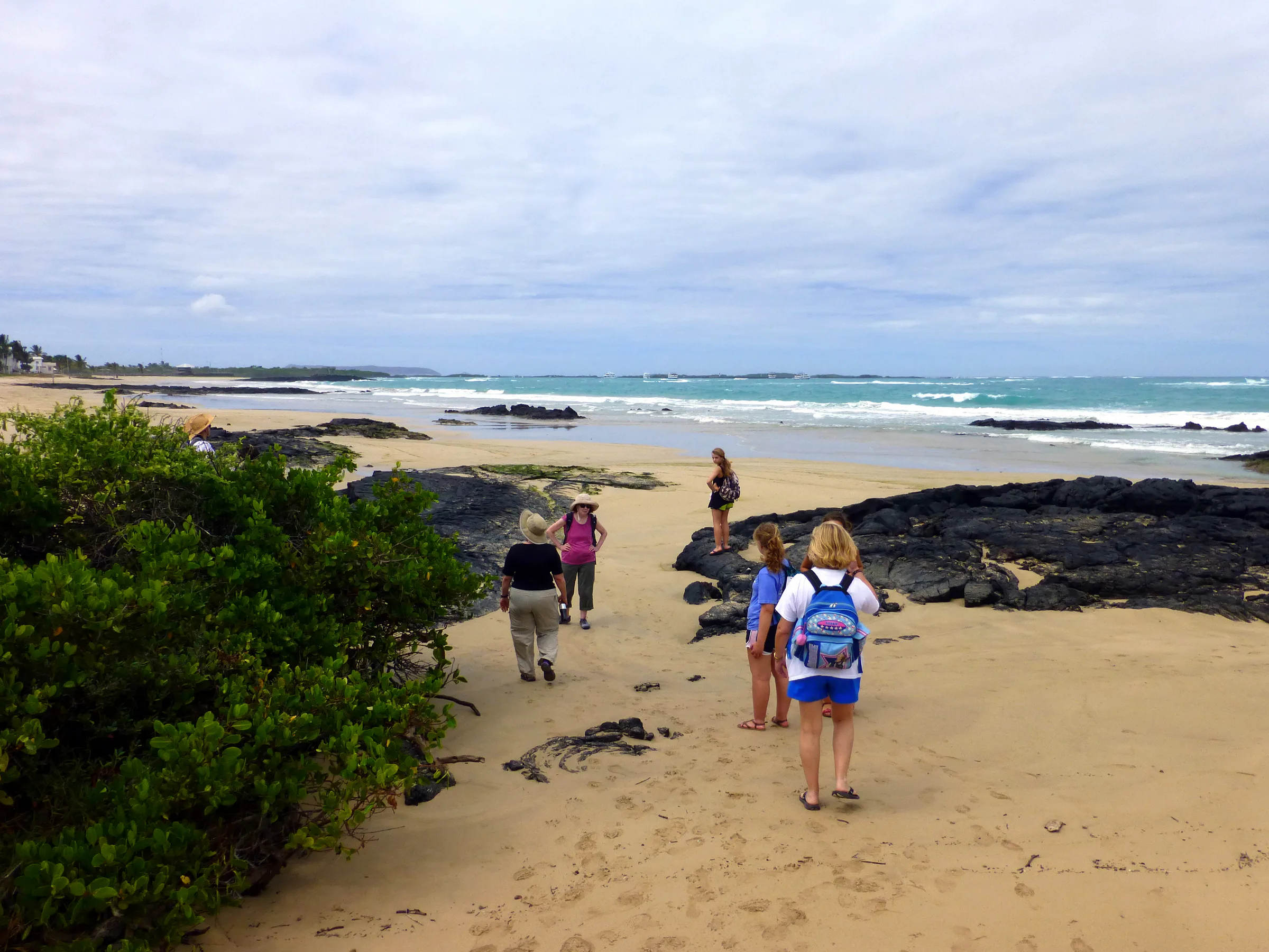 Long sandy beach leading back to the Red Mangrove Lodge (from the Iguana Crossing Hotel).