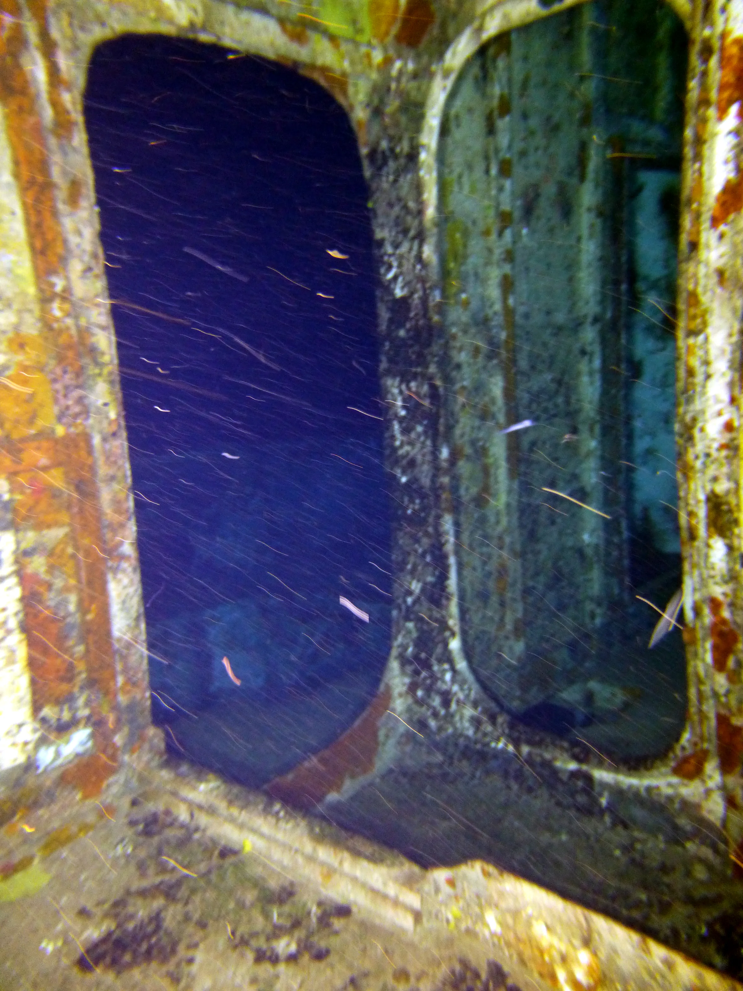 Cayman Islands underwater photograph, 2014