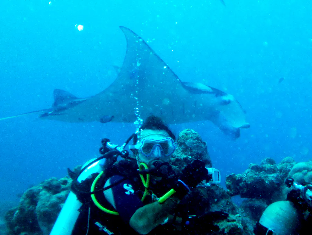 A diver from Rome, Italy, (Sandro) unexpectedly turns toward me as a manta glides by.  Made for a nice photo for him.   2011-01-15.