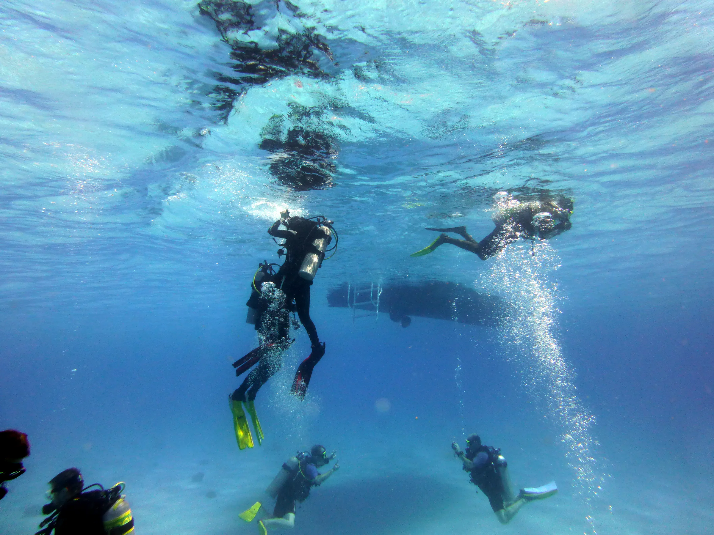 Bonaire underwater photograph, 2013