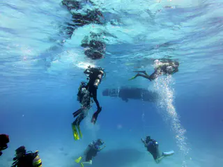 Underwater photograph by Joel Bergsma