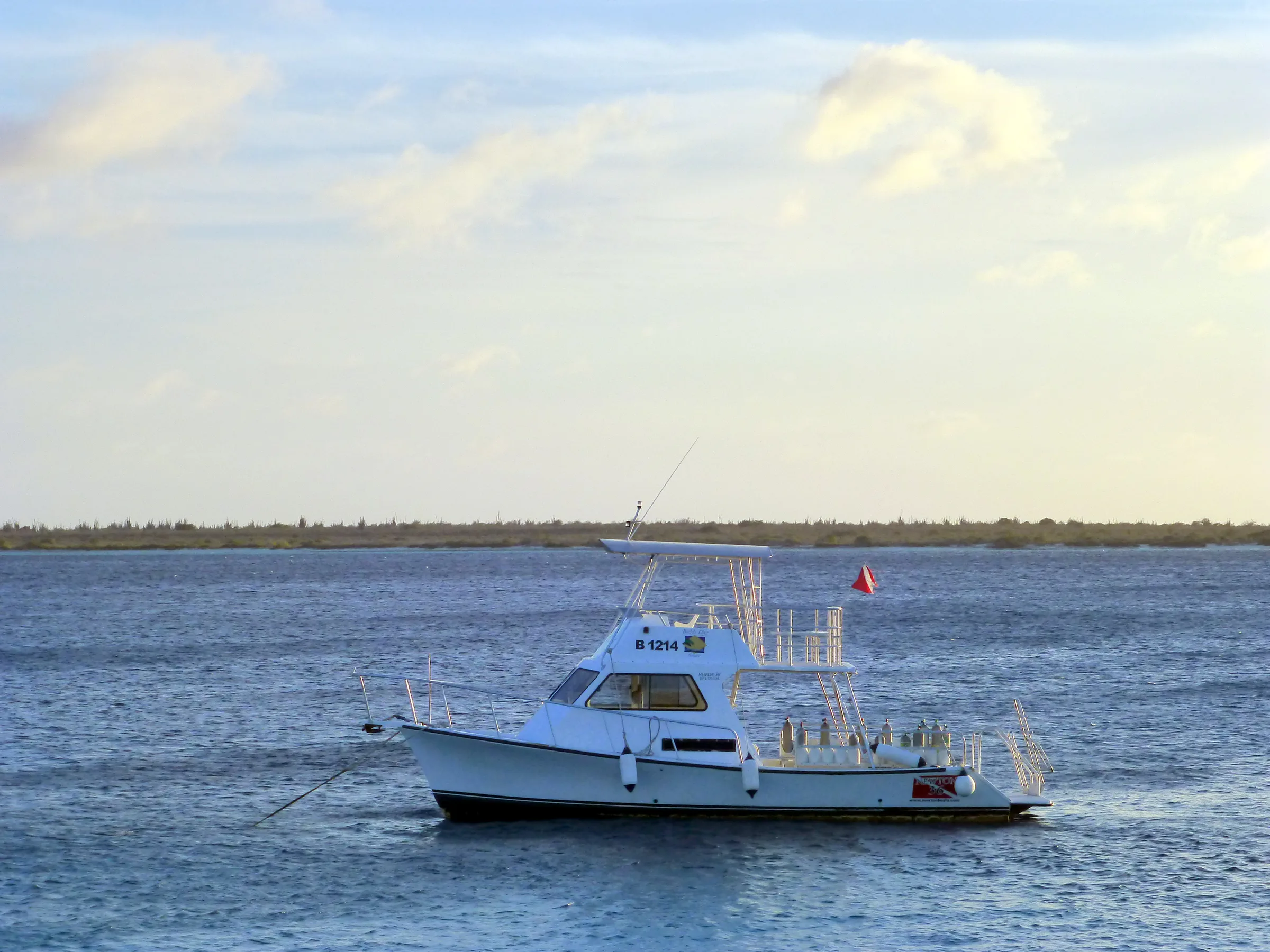 Bonaire underwater photograph, 2015
