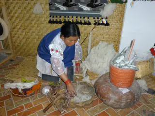Owner's Demonstration.
