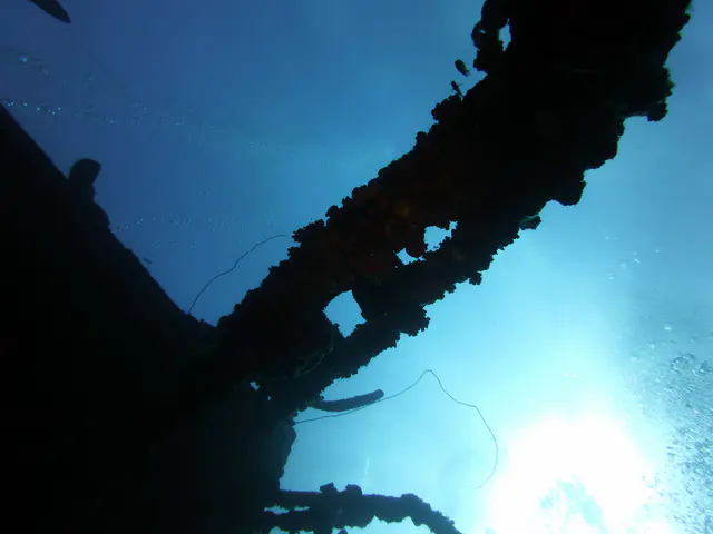 Underwater photograph by Joel Bergsma