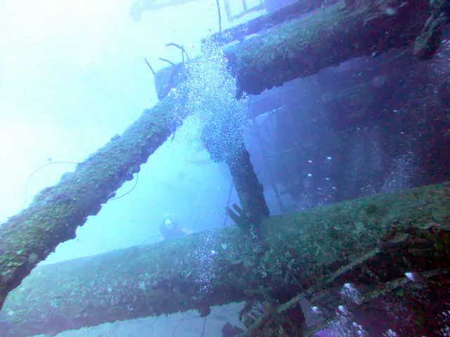 Underwater photograph by Joel Bergsma