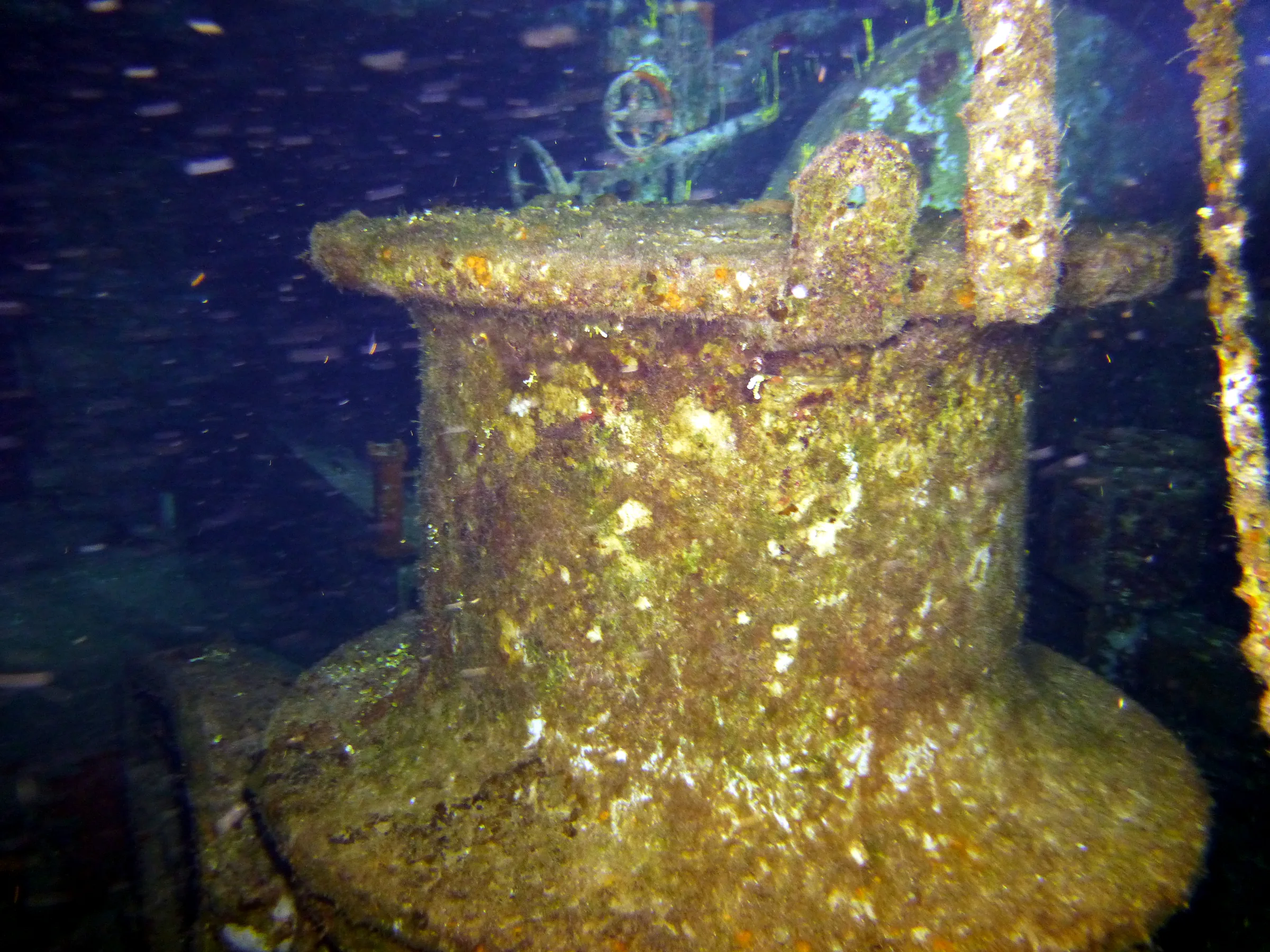 Cayman Islands underwater photograph, 2014