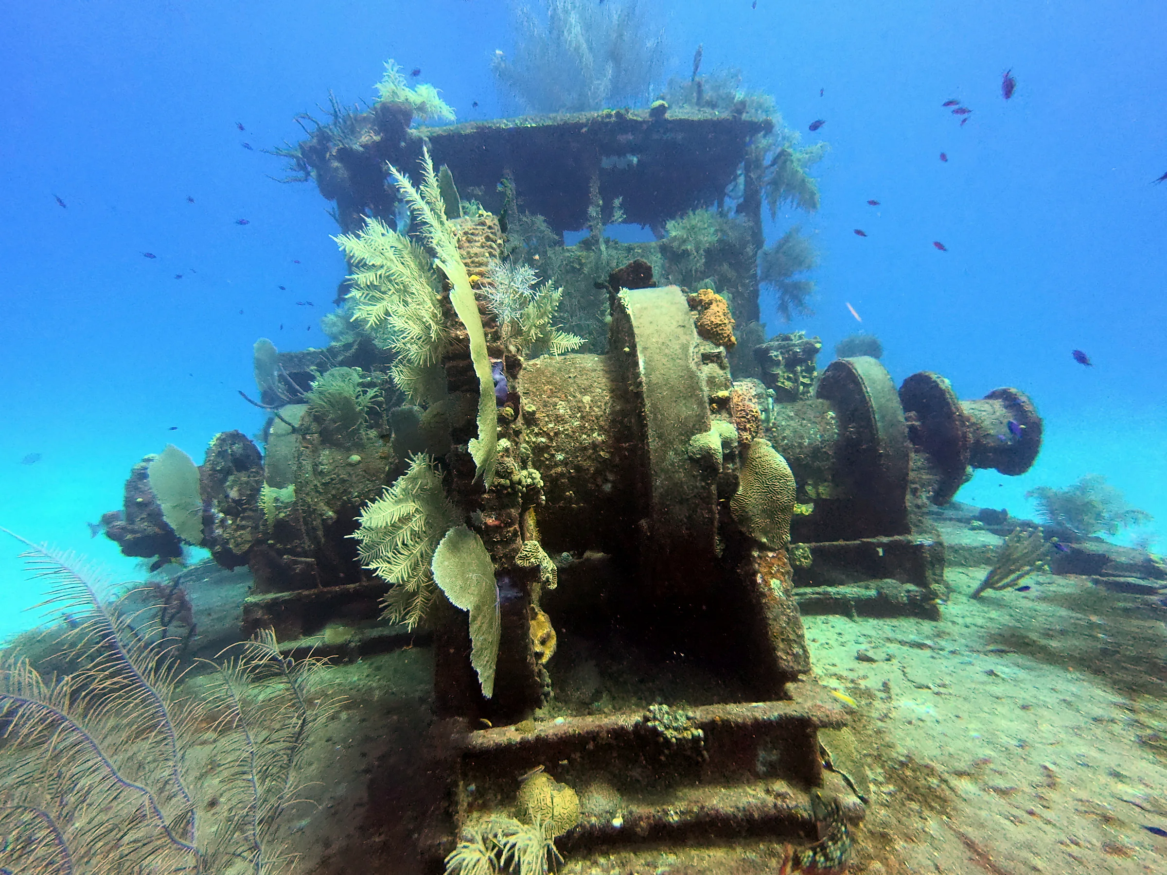 DCIM\100GOPRO\GOPR1125.JPG