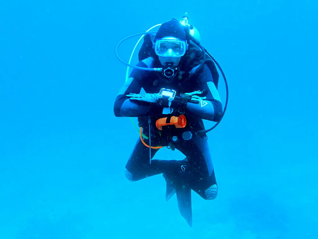 Philippines underwater photograph, 2026