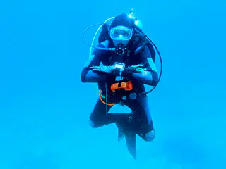 Underwater photograph by Joel Bergsma
