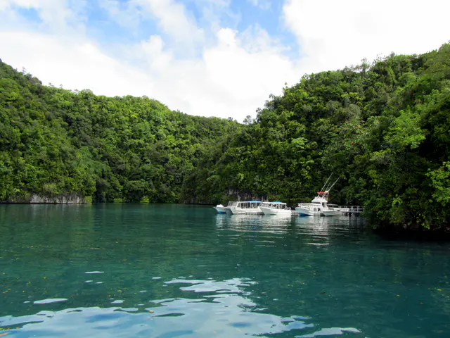 Looking to the right from Sam's Tours docks.  The channel between these two rock islands leads to the Sea Passion Hotel and, further beyond, the commercial Malakal harbor.