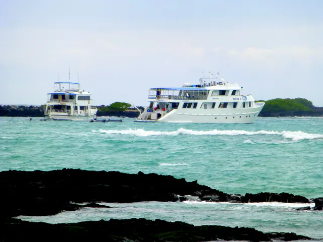 Cruise boats moored for the night in the waters in front of our Lodge.