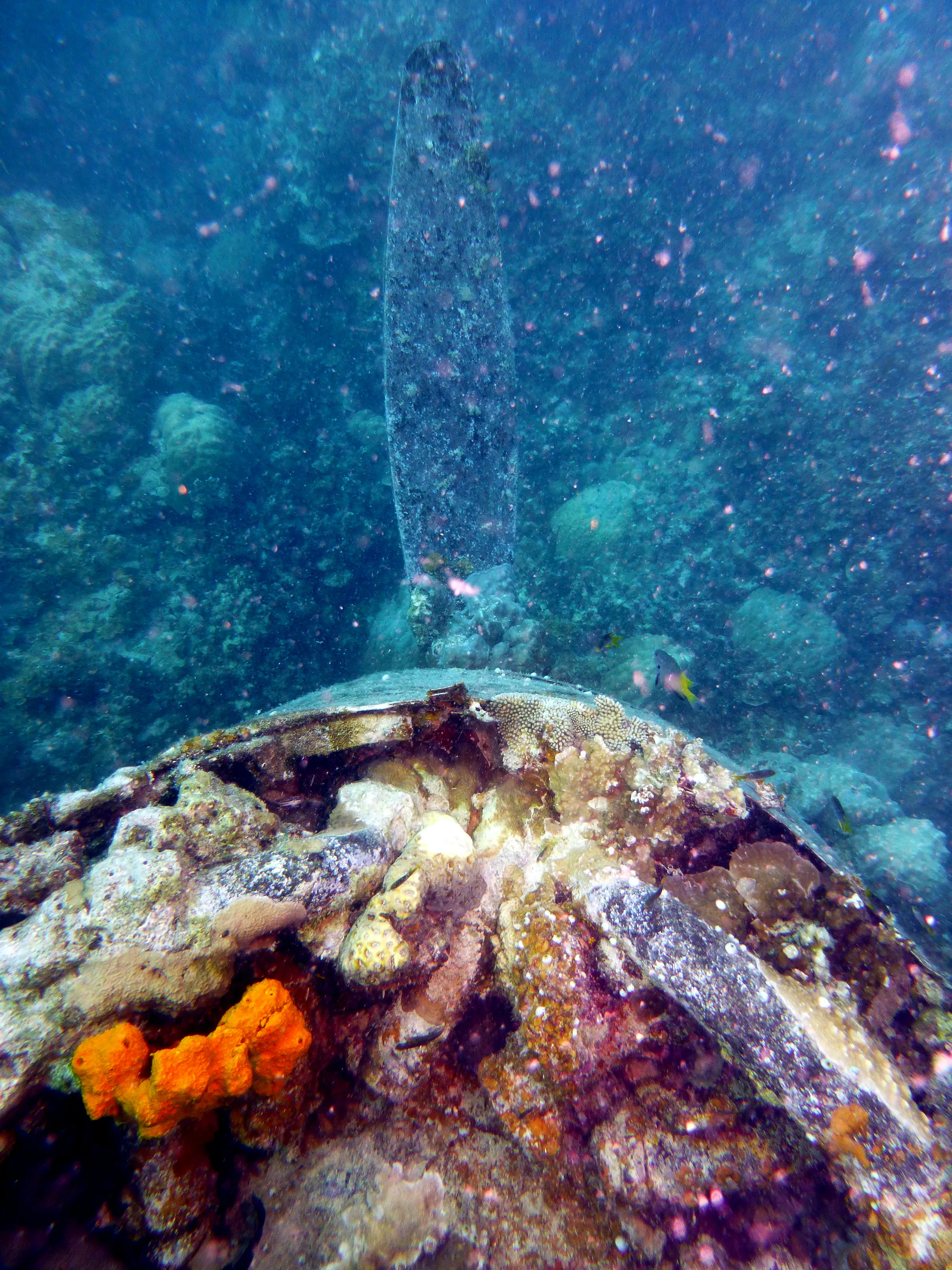 Propeller