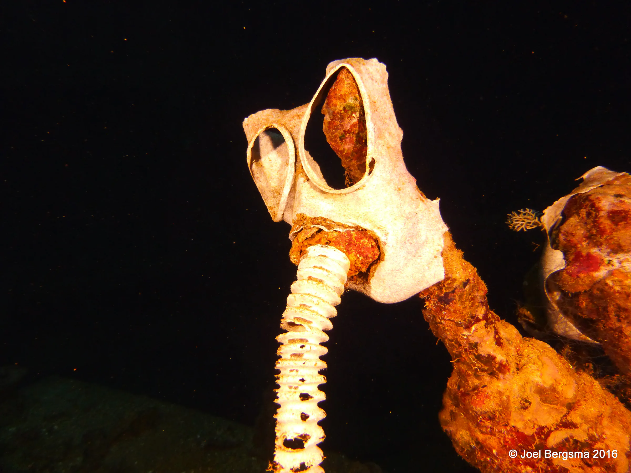 Chuuk Lagoon underwater photograph, 2016