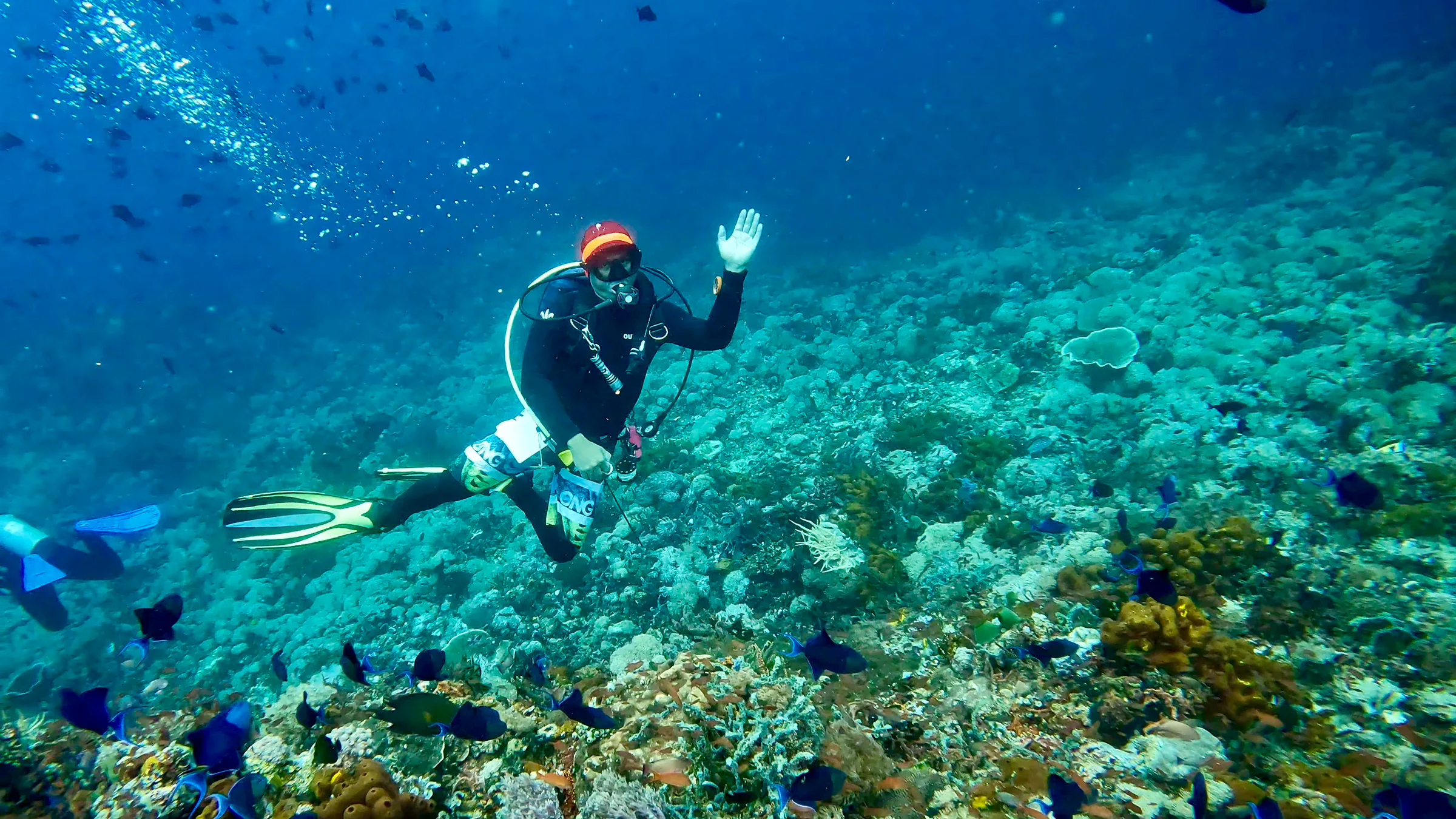 Philippines underwater photograph, 2024