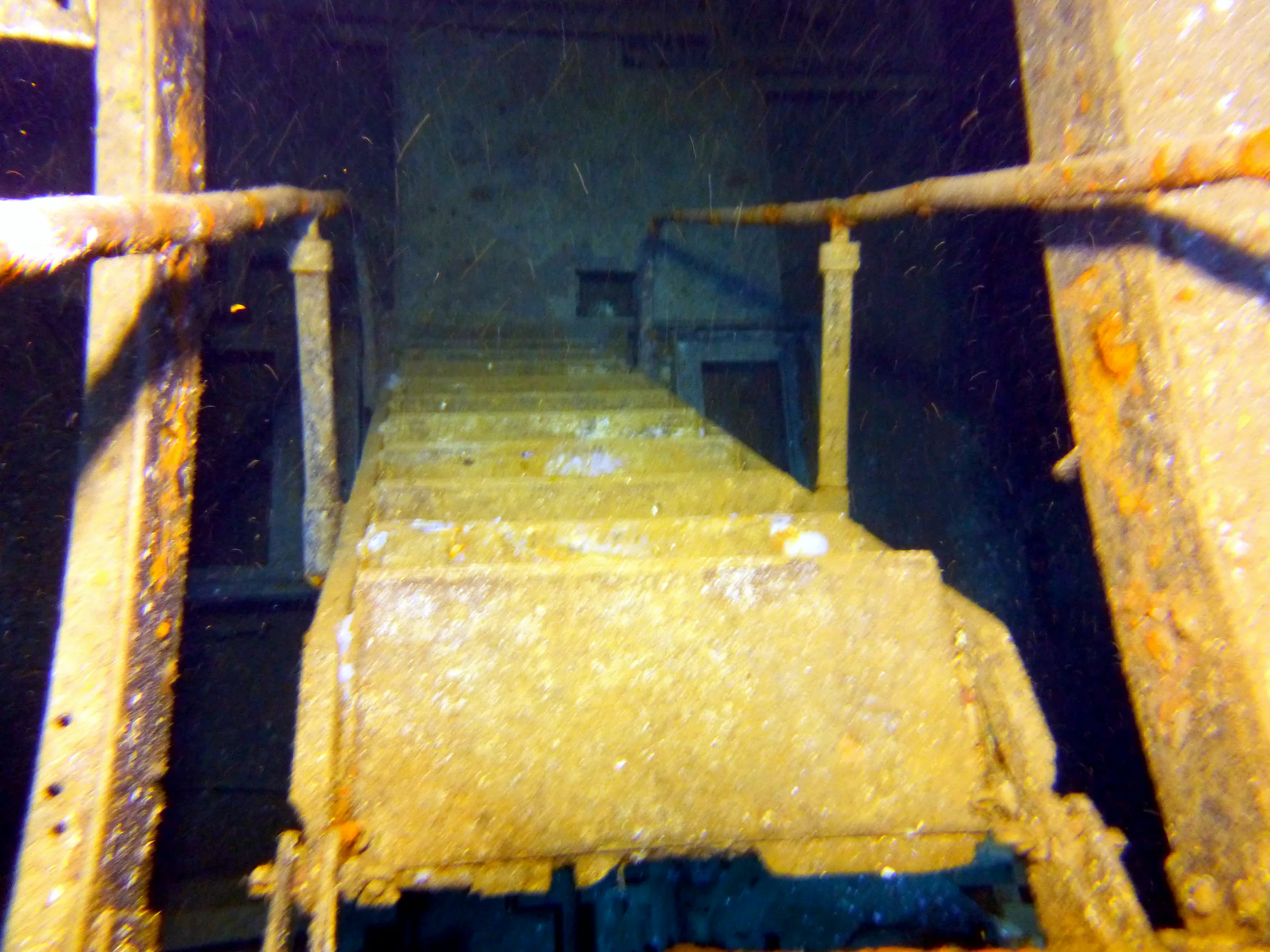 Cayman Islands underwater photograph, 2014