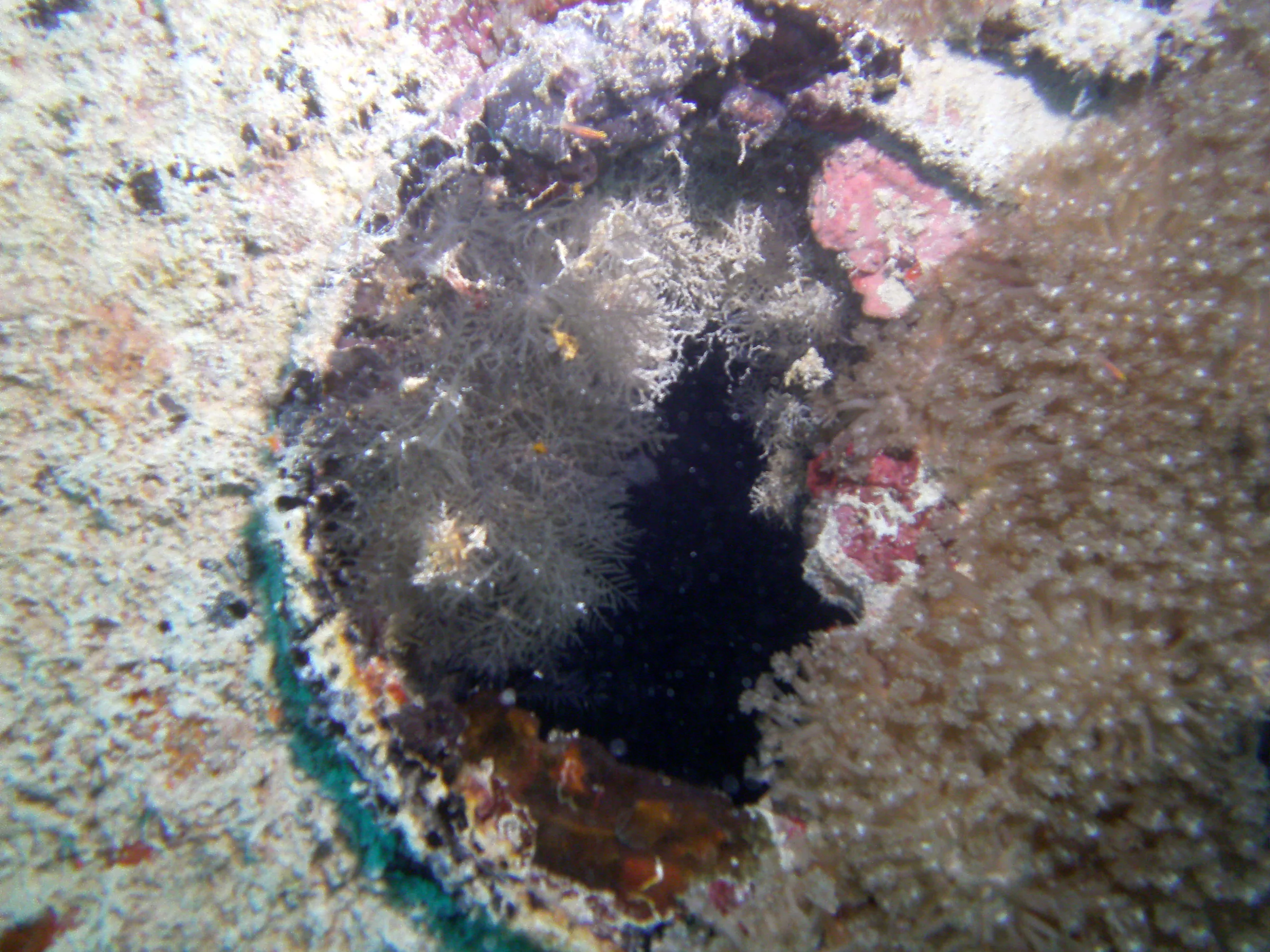 Porthole