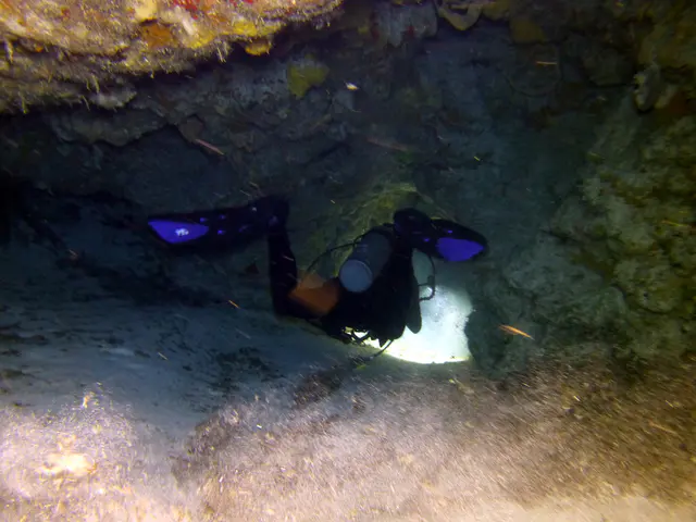 Underwater photograph by Joel Bergsma