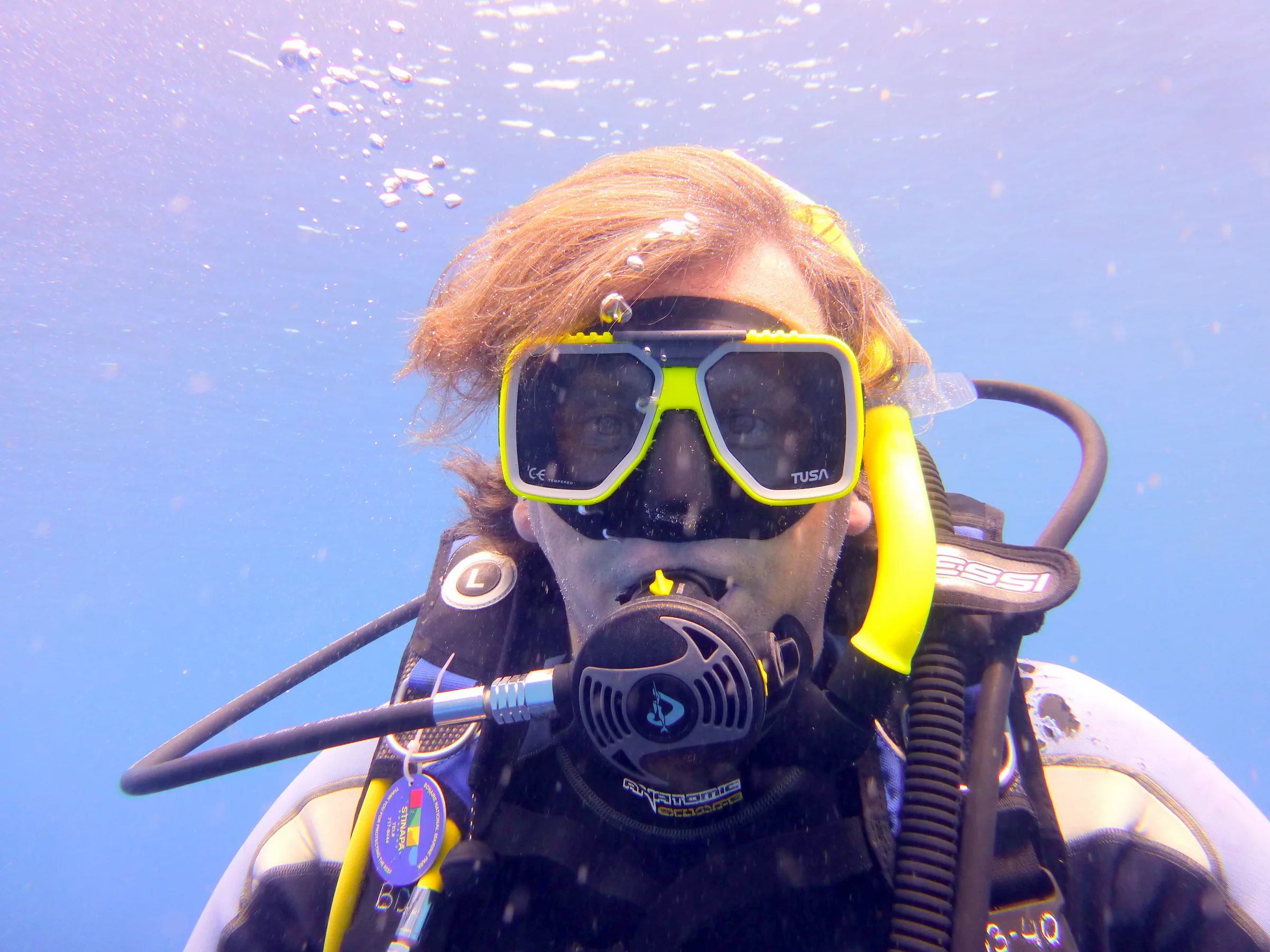 Bonaire underwater photograph, 2013