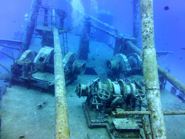 Underwater photograph by Joel Bergsma