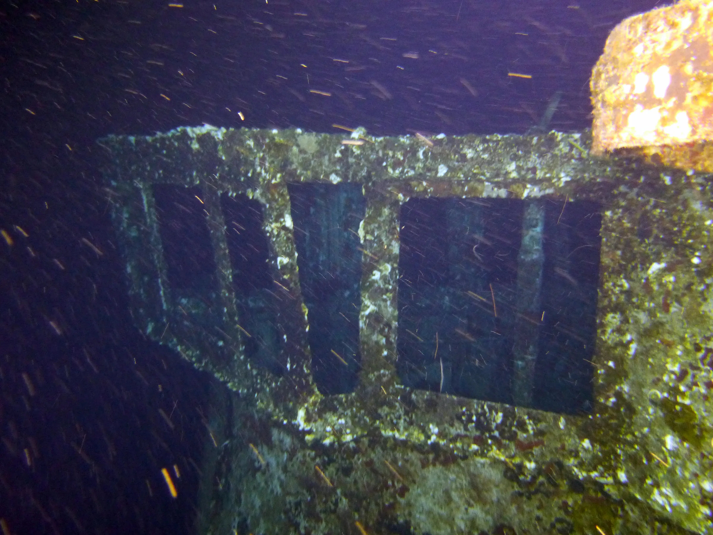 Cayman Islands underwater photograph, 2014