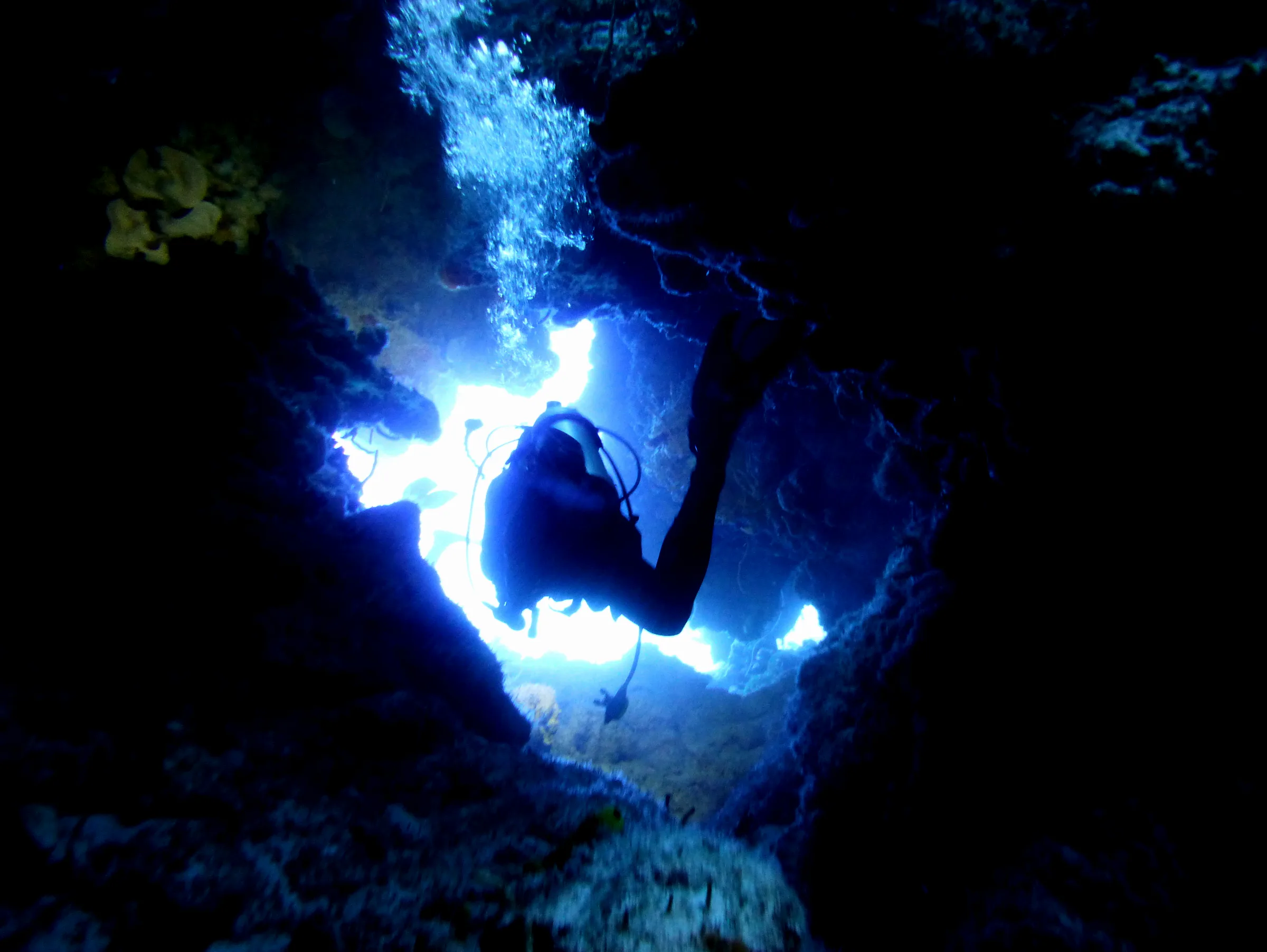 Cozumel underwater photograph, 2014