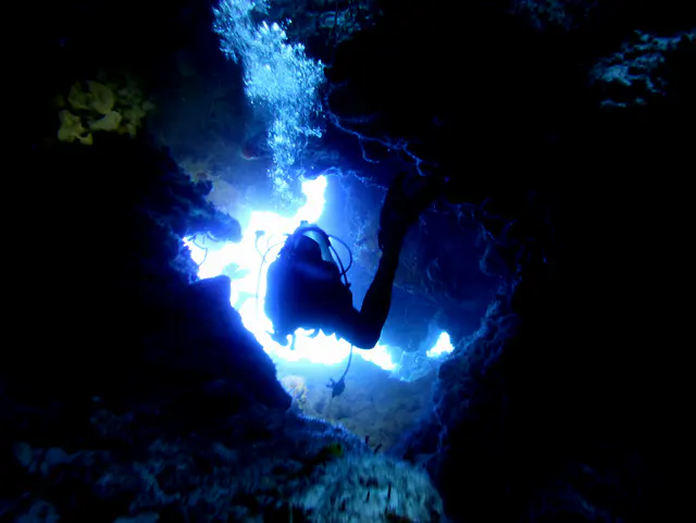Underwater photograph by Joel Bergsma