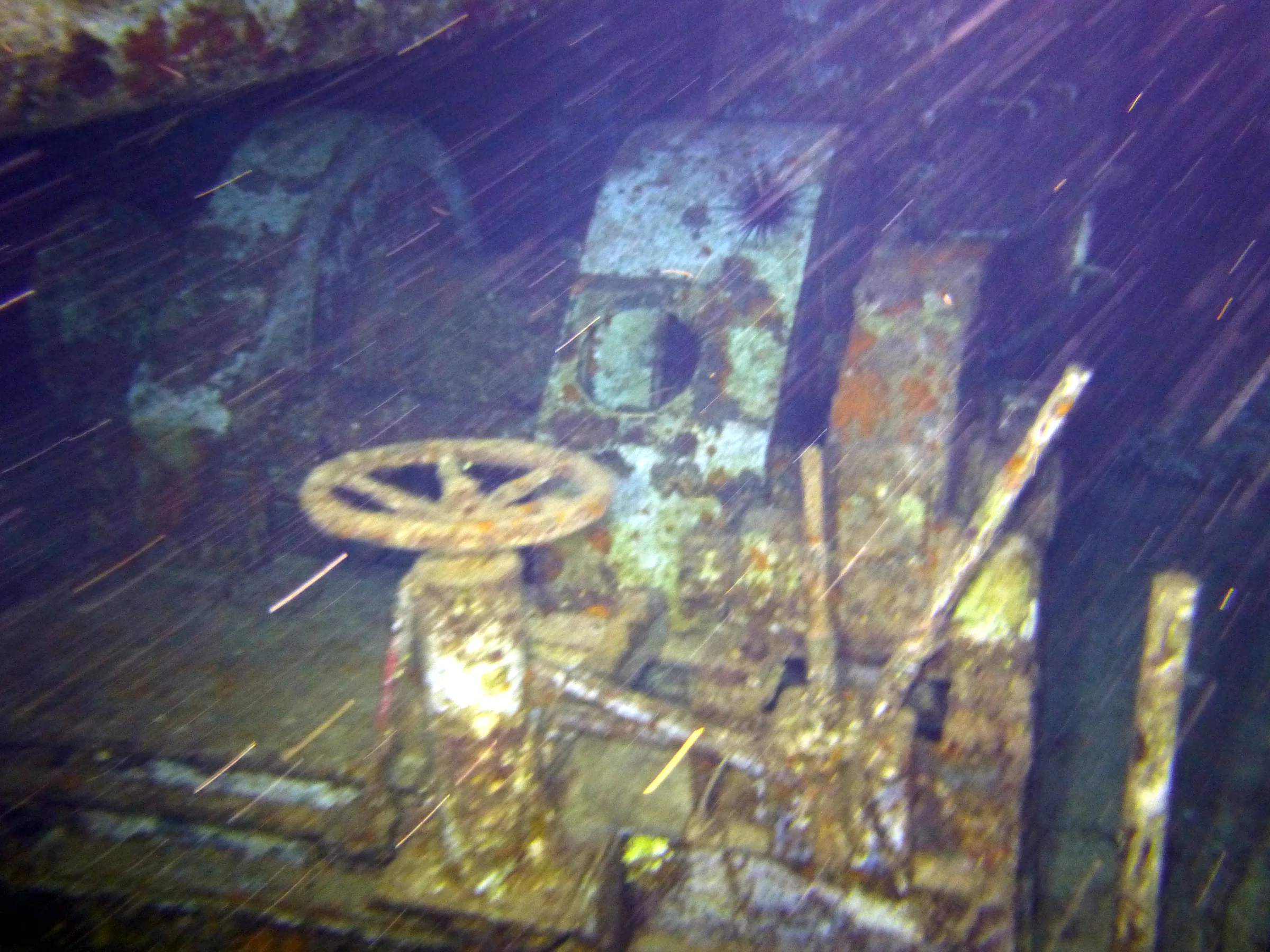 Cayman Islands underwater photograph, 2014