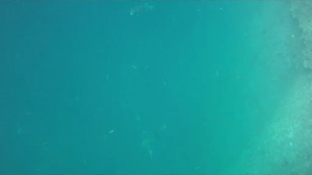 Video - Porcupinefish (aka Porcupine Pufferfish) Schooling. Kicker Rock. Galapagos.    I shot this video while snorkeling with my Intova Sport Pro HD, a camera similar to the Go Pro.