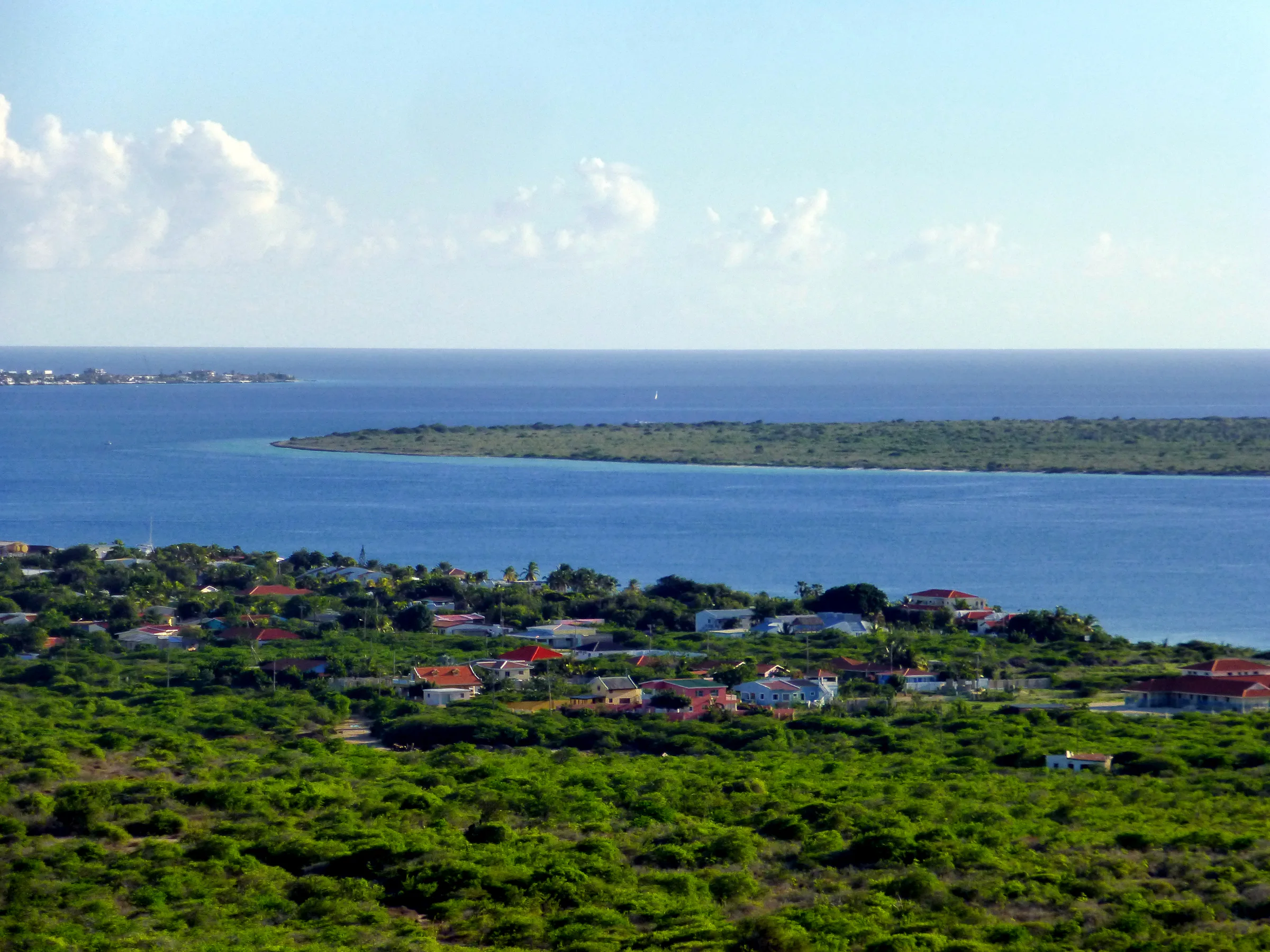 Bonaire underwater photograph, 2013