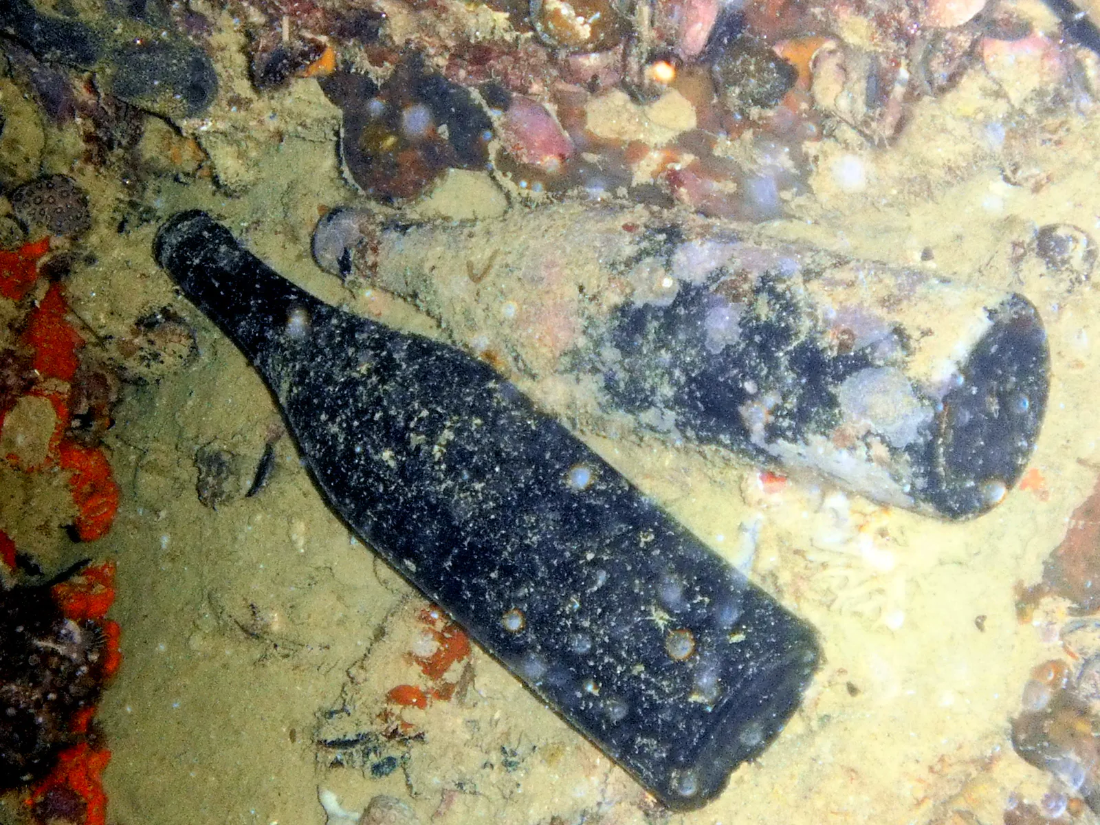 Sake bottles retrieved from the wreck and displayed for divers on its deck.