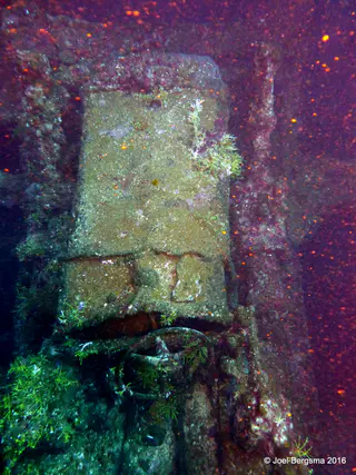 Underwater photograph by Joel Bergsma