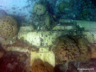 Underwater photograph by Joel Bergsma