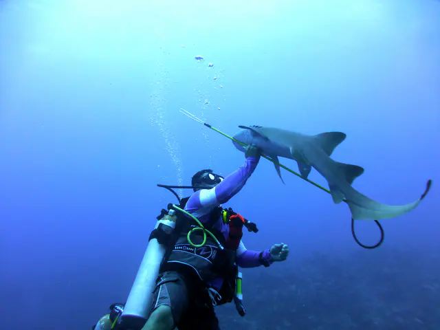 Underwater photograph by Joel Bergsma