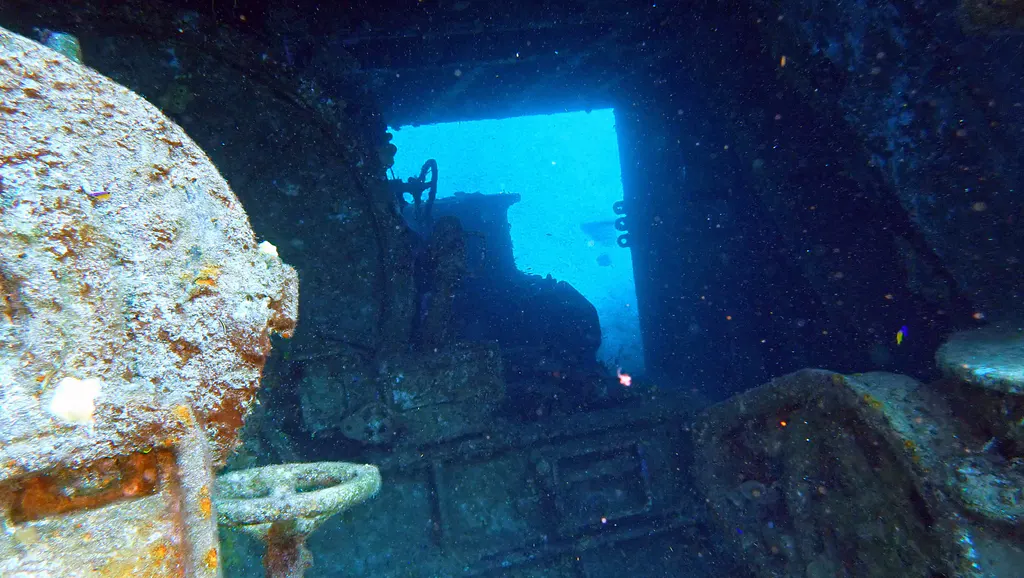 Underwater photograph by Joel Bergsma